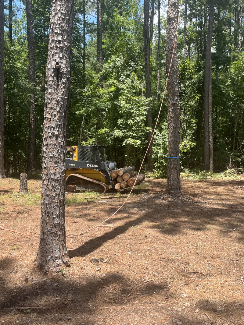 image_67216641-res Tree Services