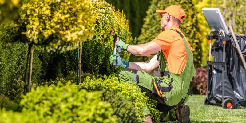 Landscaper in Lake Oconee, Georgia