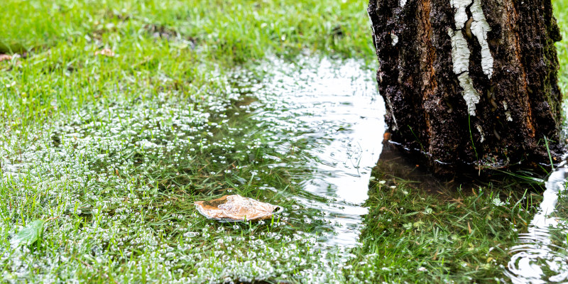 Why Yard Drainage Is So Important