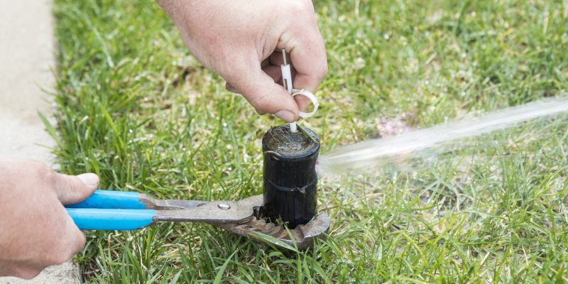 How to Tell if You Need Irrigation Repair Services