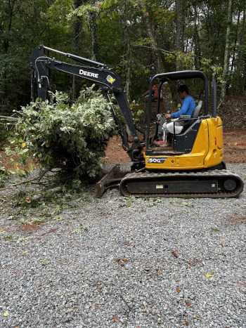Tree Removal in Athens, Georgia