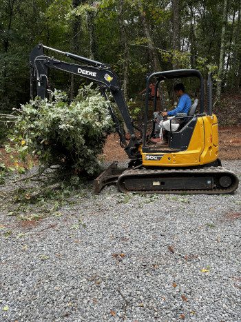 Tree Removal in Lake Oconee, Georgia