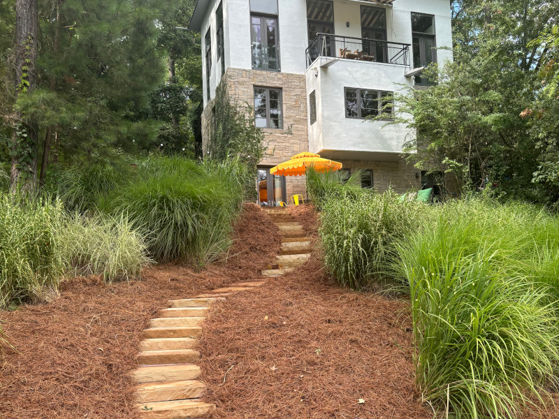 Professional Lawn Maintenance