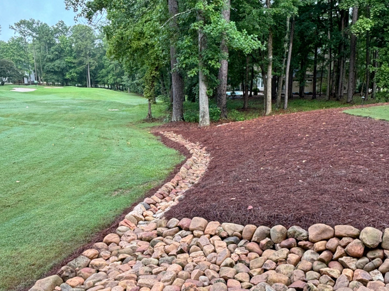Professional Lawn Maintenance