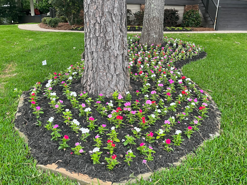 Professional Lawn Maintenance