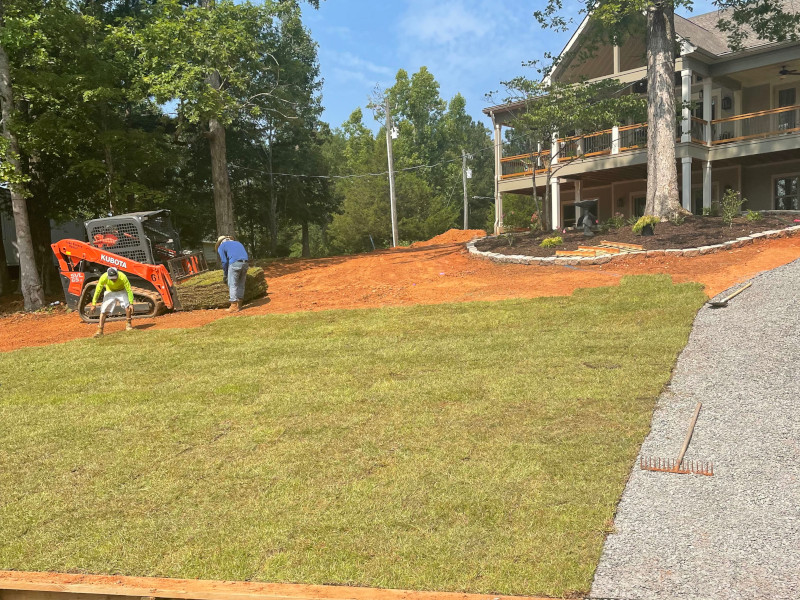Professional Lawn Maintenance
