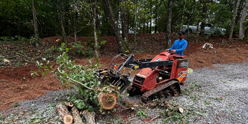 Debris Removal in Lake Oconee, Georgia