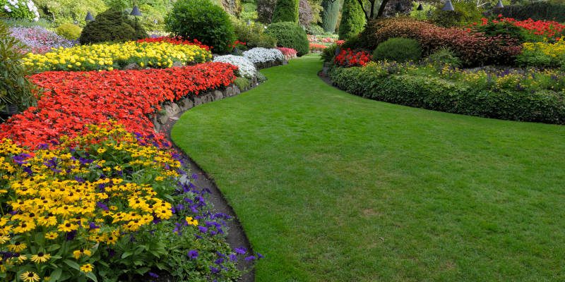 Lawn Maintenance in Lake Oconee, Georgia