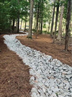 Tree Installation in Eatonton, Georgia