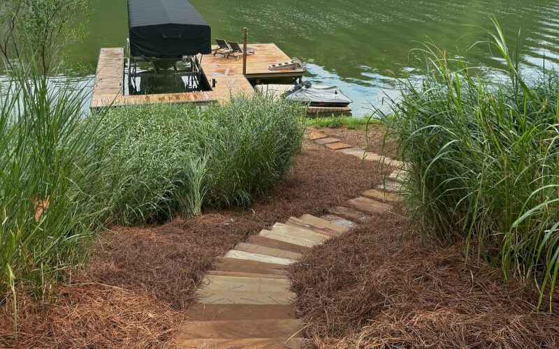 What to Look for in a Landscaper